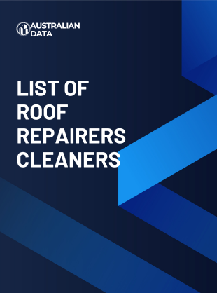 Roof Repairers Cleaners